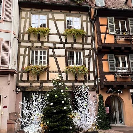 Les Suites Du Cygne Colmar Dış mekan fotoğraf