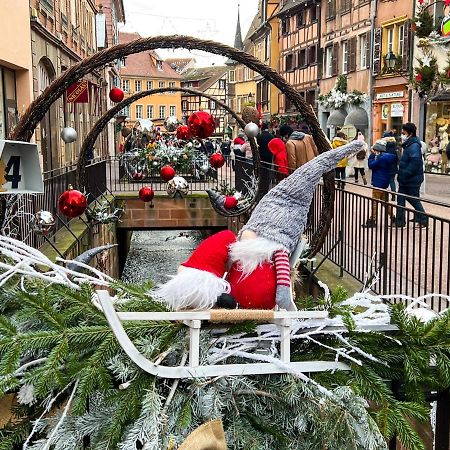 Les Suites Du Cygne Colmar Dış mekan fotoğraf