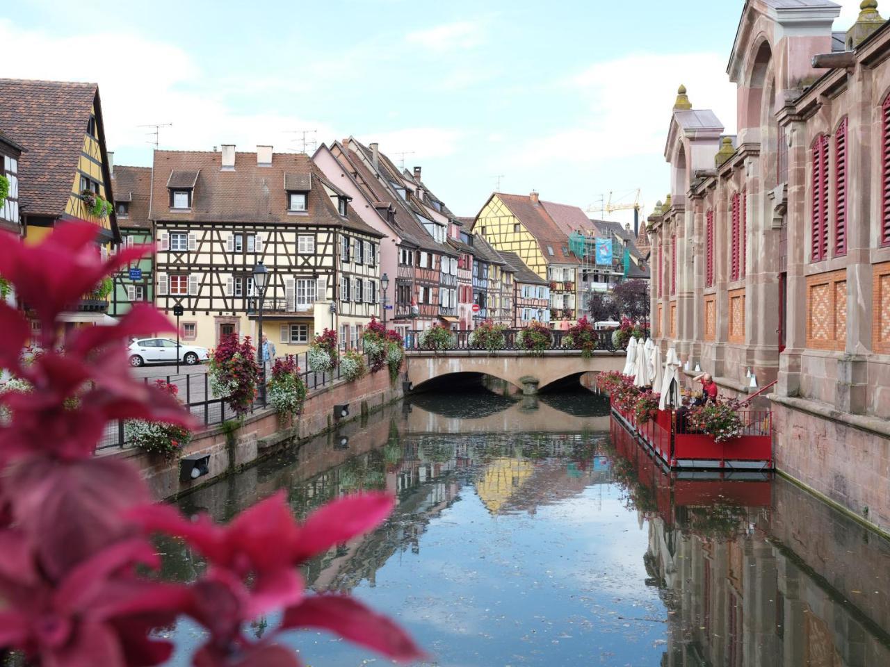 Les Suites Du Cygne Colmar Dış mekan fotoğraf